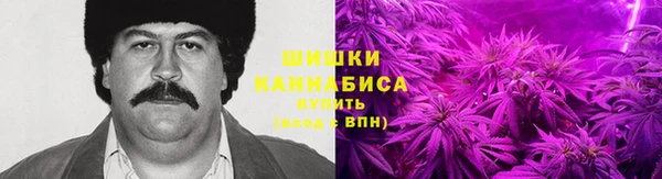 дмт Арсеньев