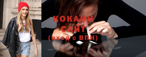 дмт Арсеньев