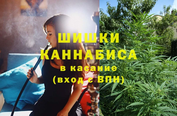 стаф Аркадак