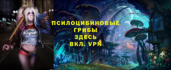 стаф Аркадак