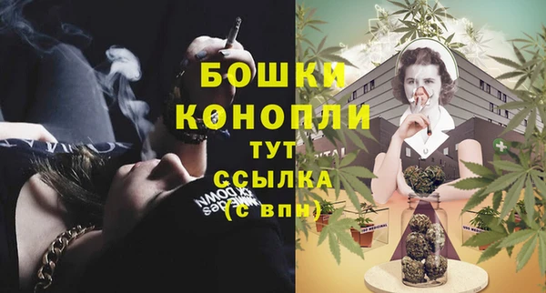 стаф Аркадак