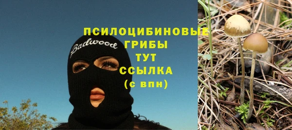 мяу мяу мука Армянск