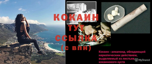 стаф Аркадак
