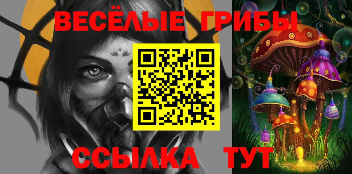 магазин  наркотиков  Псилоцибиновые грибы мухоморы  Вход с VPN  Кубинка 