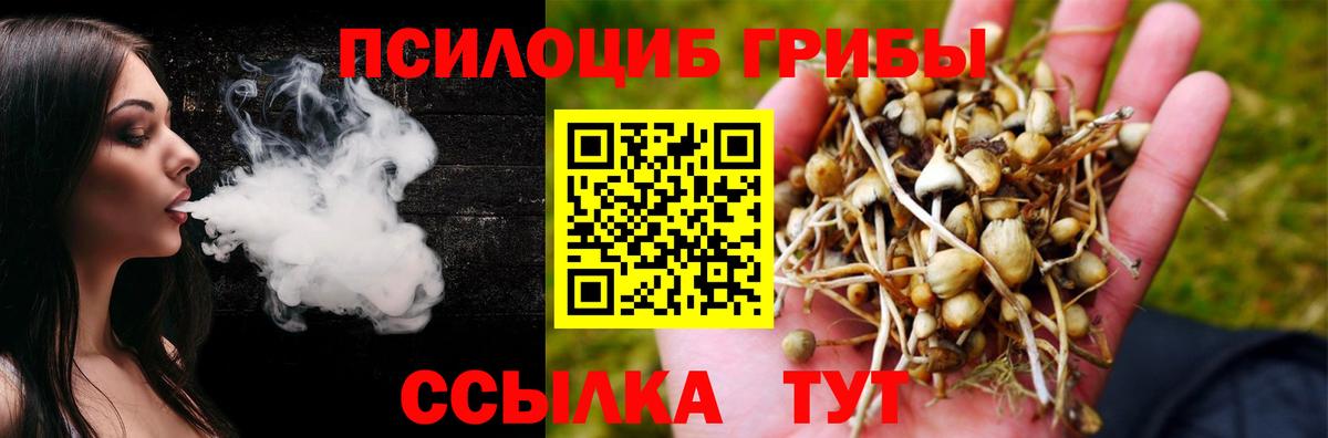 Псилоцибиновые грибы MAGIC MUSHROOMS Кубинка