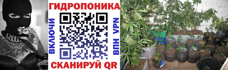 Бошки марихуана MAZAR  дарк нет наркотические препараты  Кубинка 